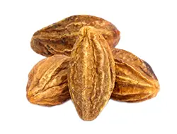 Hezi Fruit Extract Hezi Fruit
